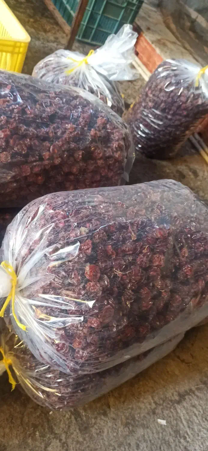 الوچه|عمده‌فروشی|آذرشهر, |دیوار