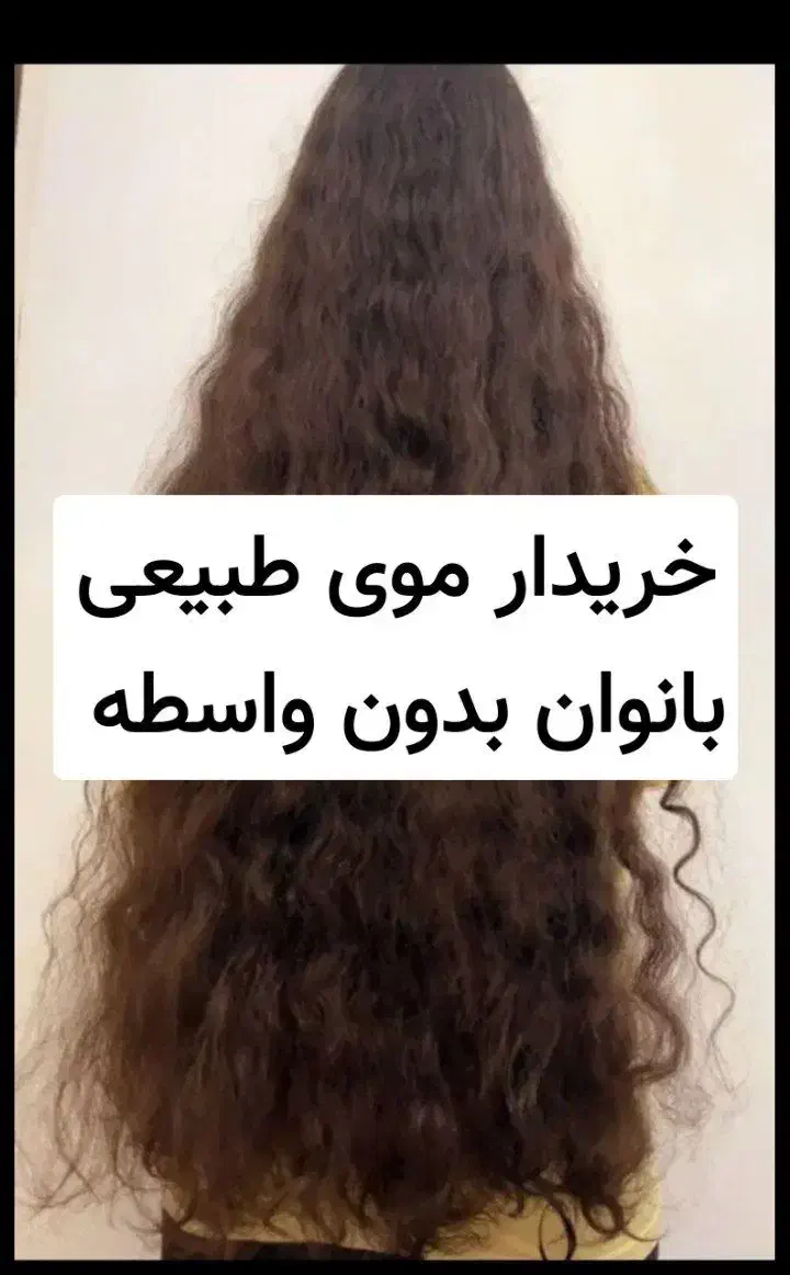 موهای طبیعی و رنگی و فرفری|آرایشی، بهداشتی، درمانی|زرند, |دیوار