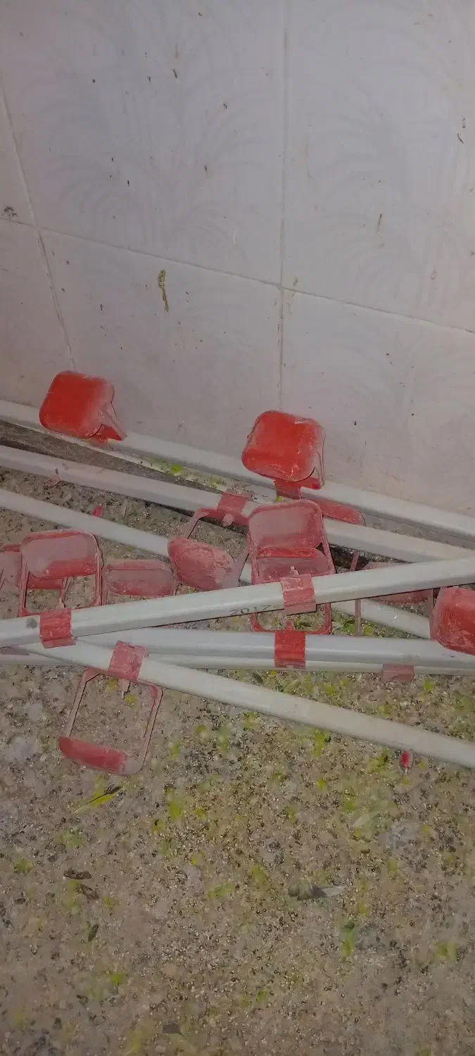 قفس بلدرچین تخم گذار|لوازم جانبی حیوانات|شوشتر, |دیوار