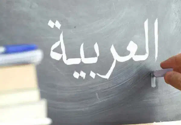تدریس درس عربی|خدمات آموزشی|پردیس, فاز ۲|دیوار