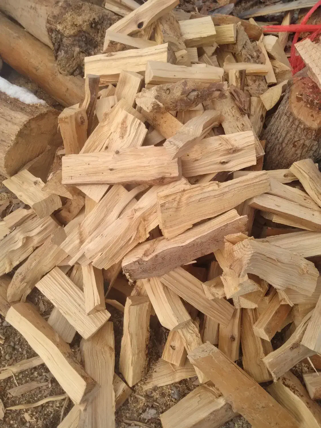 هیزم|خدمات باغبانی و درختکاری|تهران, بوستان چیتگر|دیوار