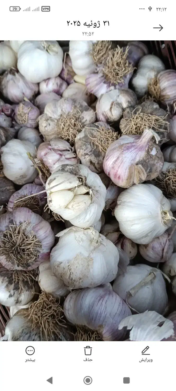 سیر برای ترشی و خیارشور|خوردنی و آشامیدنی|شاهین دژ, |دیوار