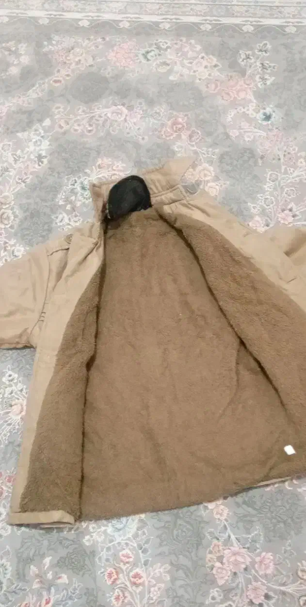 کت نو وزیبا|لباس|جوانرود, |دیوار