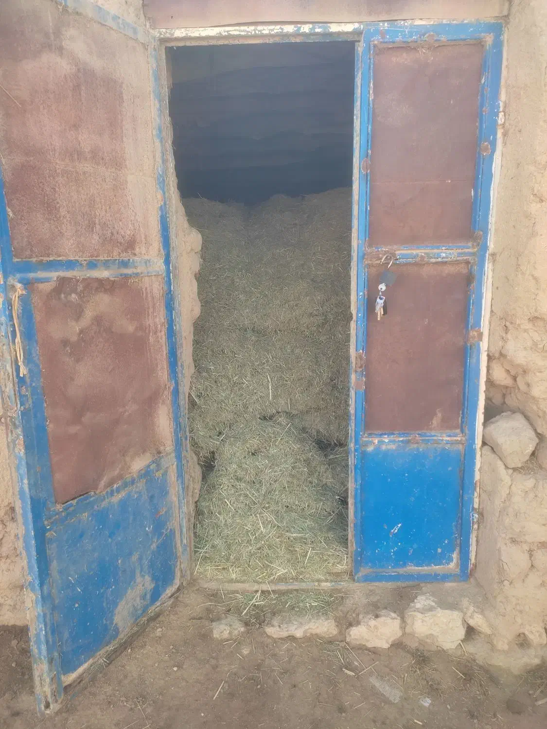 علف|خدمات باغبانی و درختکاری|بیجار, |دیوار