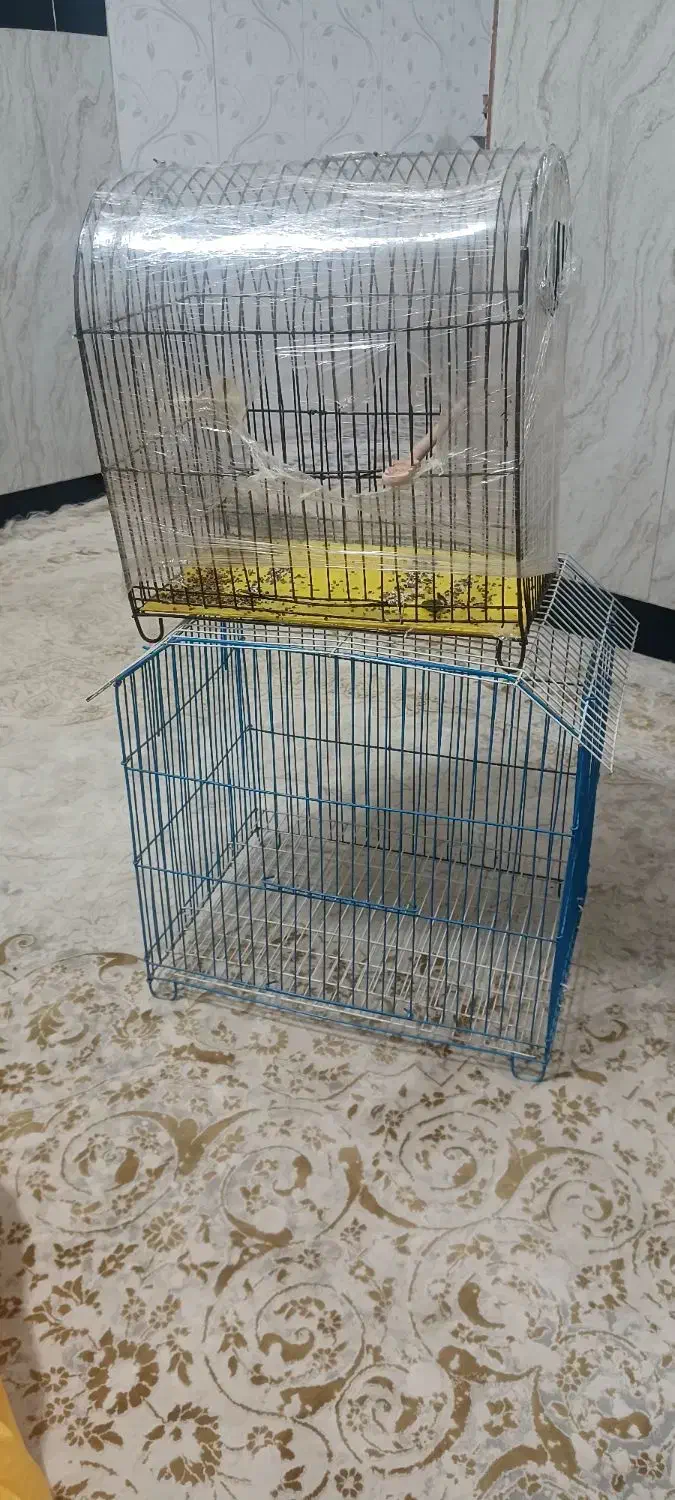 قفس فروشی|لوازم جانبی حیوانات|جوانرود, |دیوار