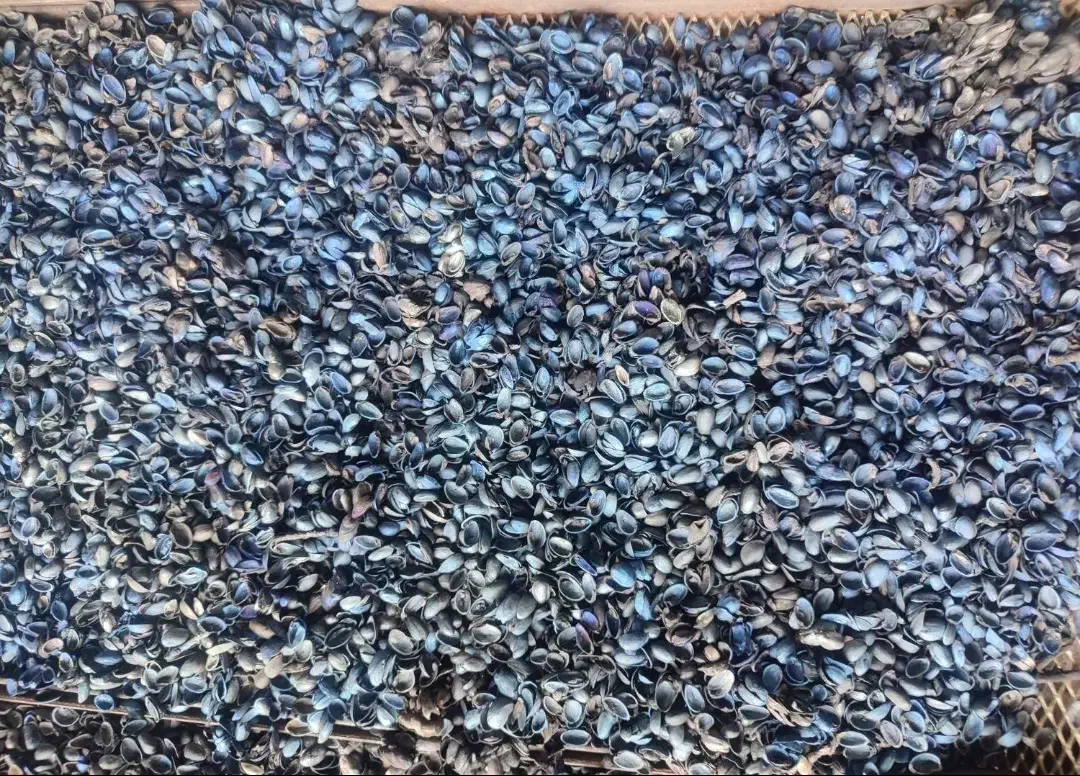 کربن پسته اعلا زغال بدون کالک|عمده‌فروشی|تهران, نیروی هوایی (پیروزی)|دیوار