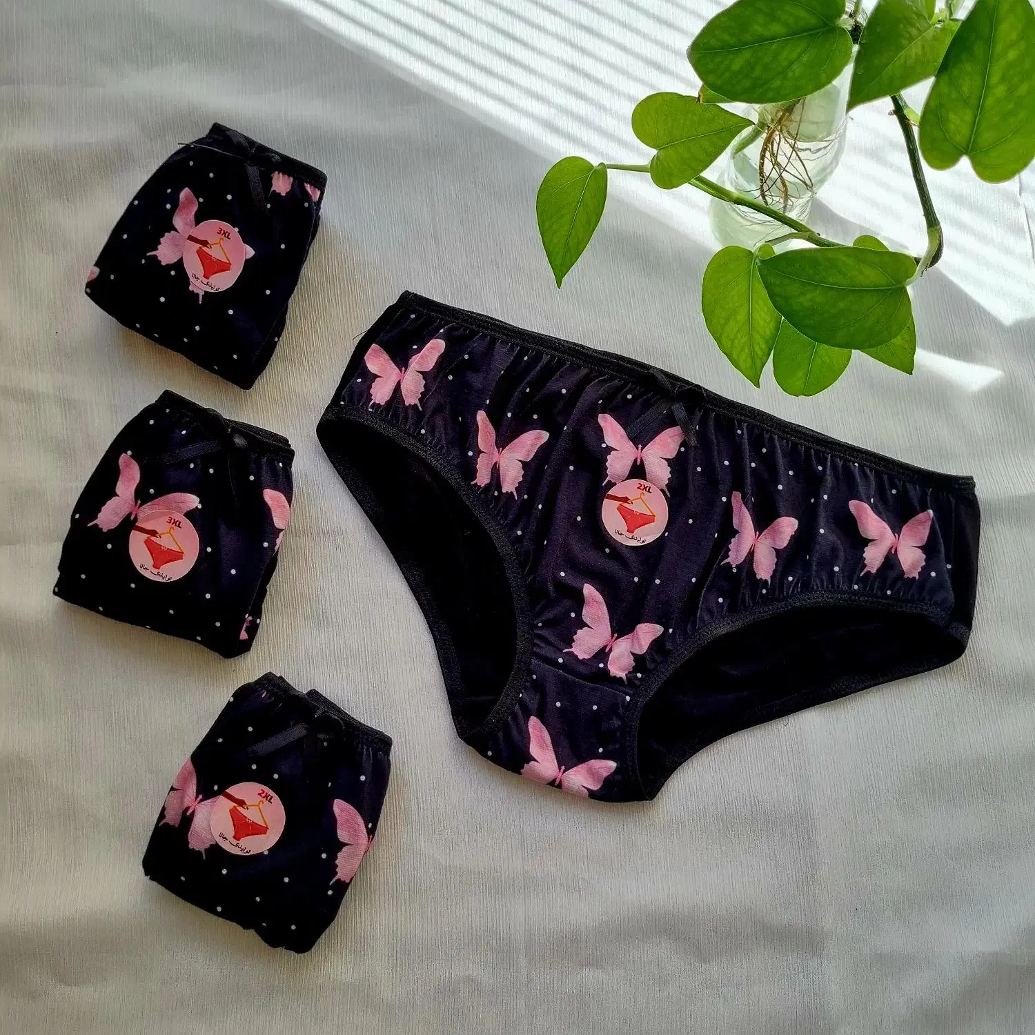 لباس زیر شیک|لباس|کاشان, لتحر|دیوار