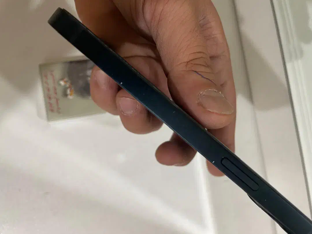 ایفون ۱۳ نرمال|موبایل|نیشابور, تختی|دیوار