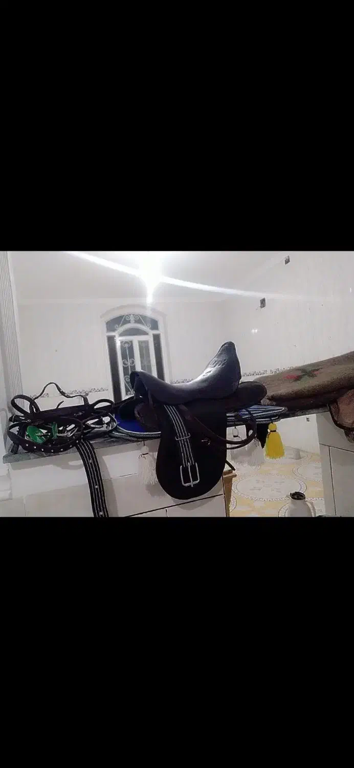 درود زین با عرق گیر با دهنه نریون ۱۵ ماه پر خون|اسب و تجهیزات اسب‌سواری|جنت, |دیوار