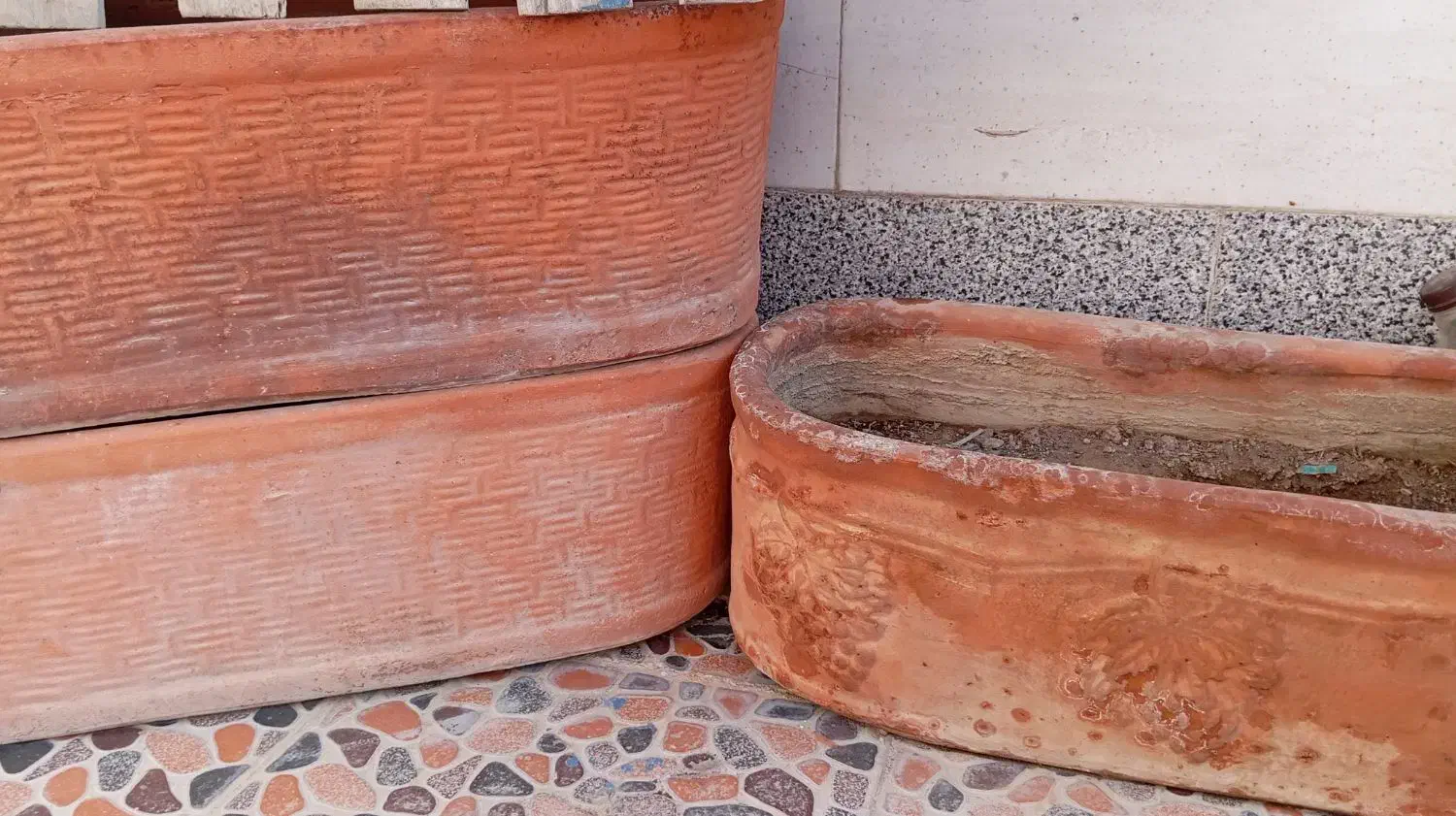 گلدان|گل و گیاه طبیعی|چغادک, |دیوار