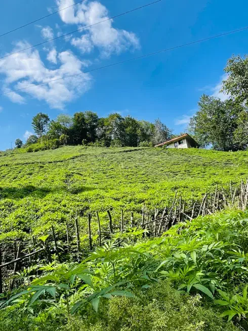 دنبال یک ویلا هستی به این میگن بهشت|فروش خانه و ویلا|شفت, |دیوار