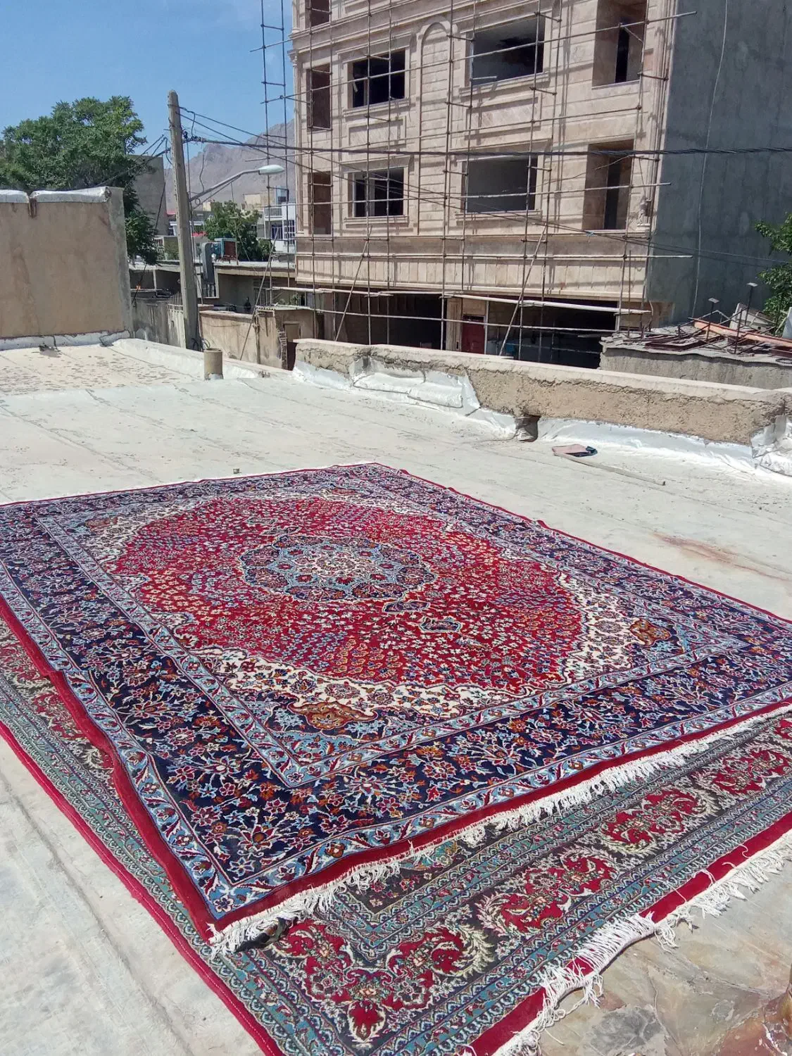 دو عدد فرش|فرش|آبیک, |دیوار