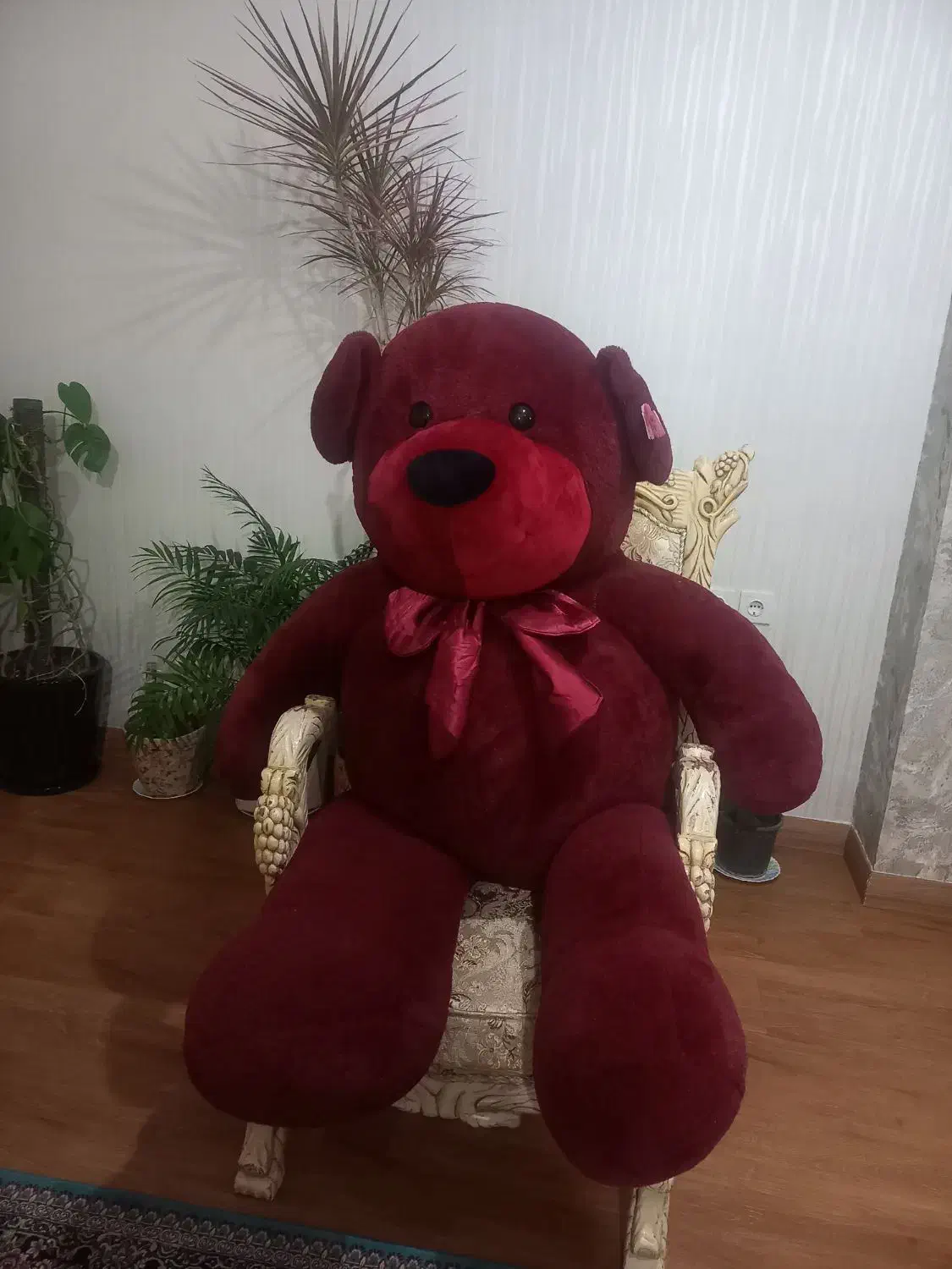 خرس زرشکی دو متری|اسباب‌‌بازی|شاهین دژ, |دیوار