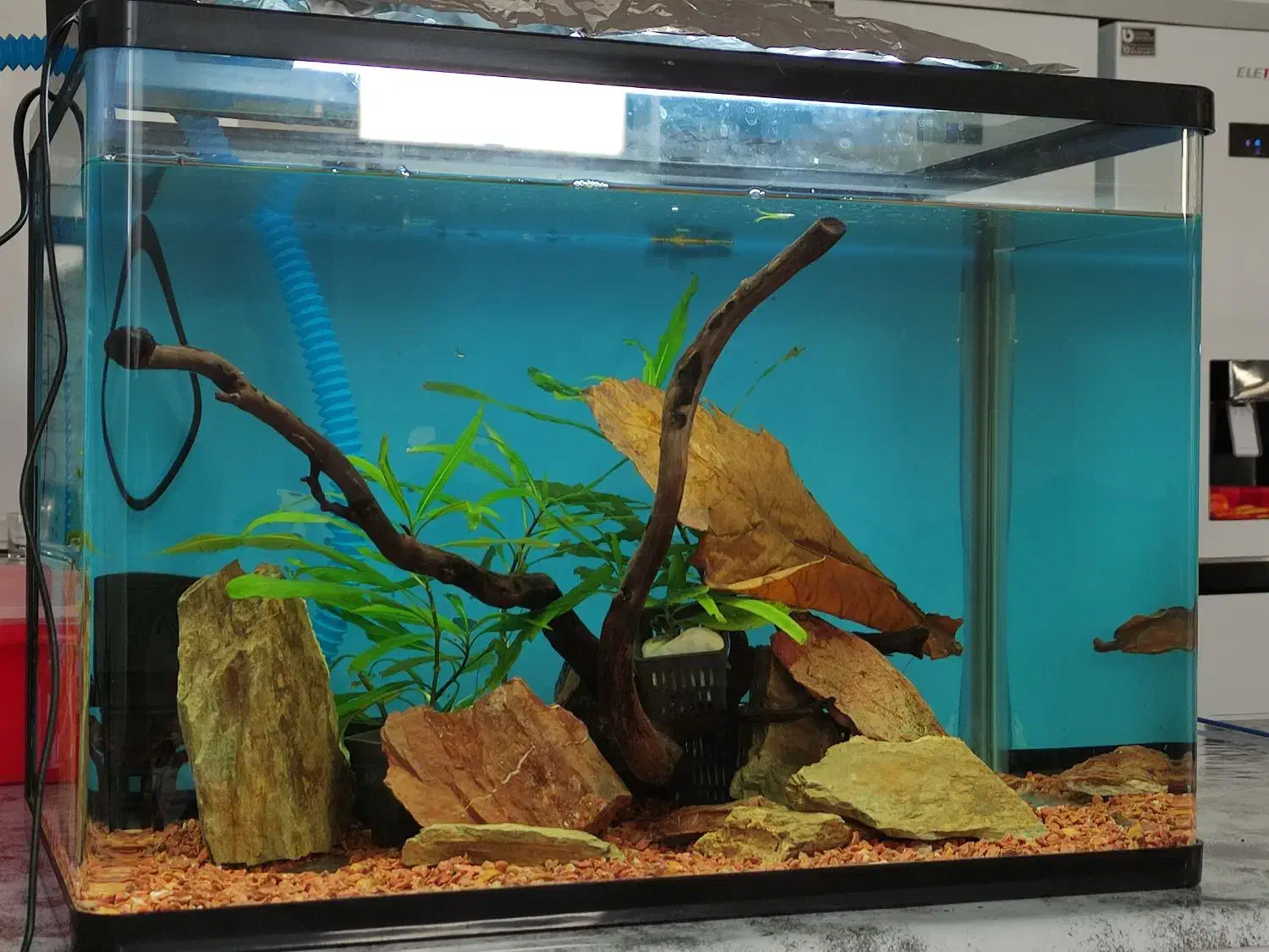 آکواریوم شیشه خم با لوارم در حد نو|ماهی|خسروشاه, |دیوار