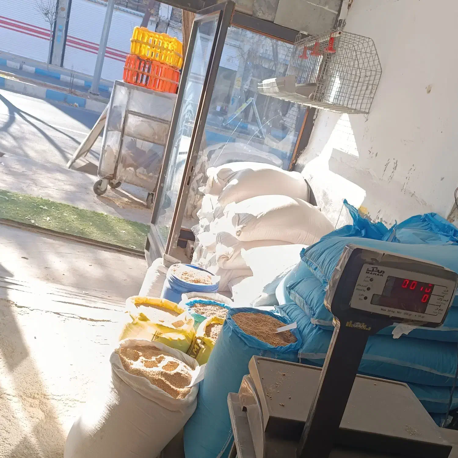 دان مرغ تخم گذار گوشتی|لوازم جانبی حیوانات|شهریار, کرد امیر|دیوار