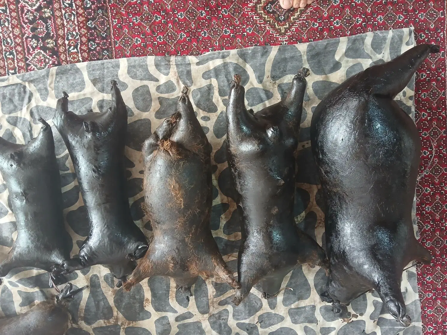 هیزه|خوردنی و آشامیدنی|کلاشی, |دیوار