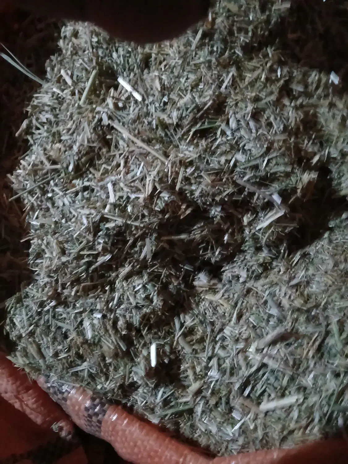 بیده بیعده کوبیده داخل کیسه وتخم یونجه|لوازم جانبی حیوانات|سرولایت, |دیوار