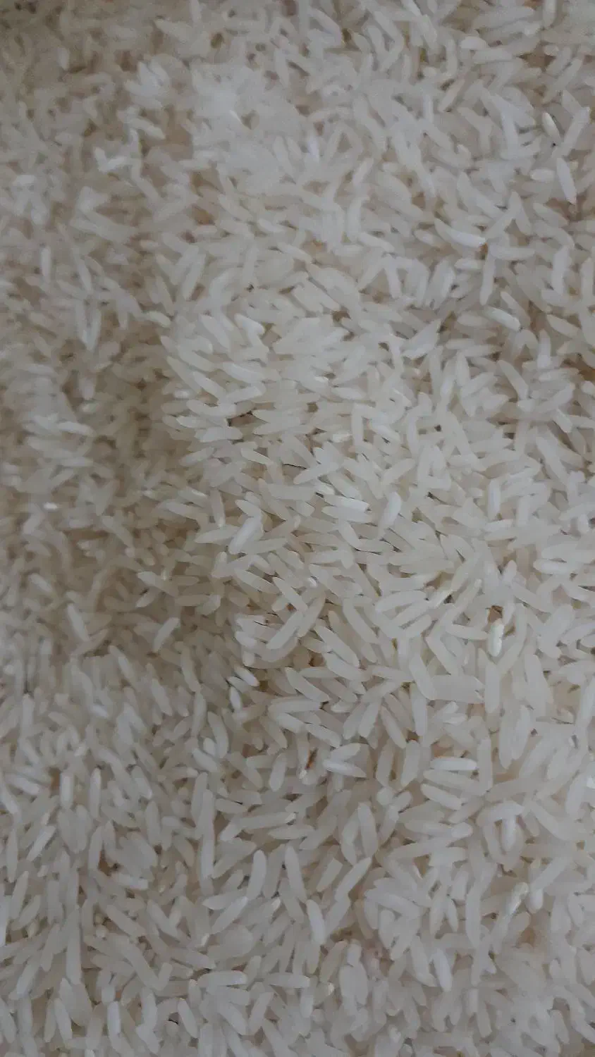 برنج ولاشه فجر|خوردنی و آشامیدنی|سرخنکلاته, |دیوار