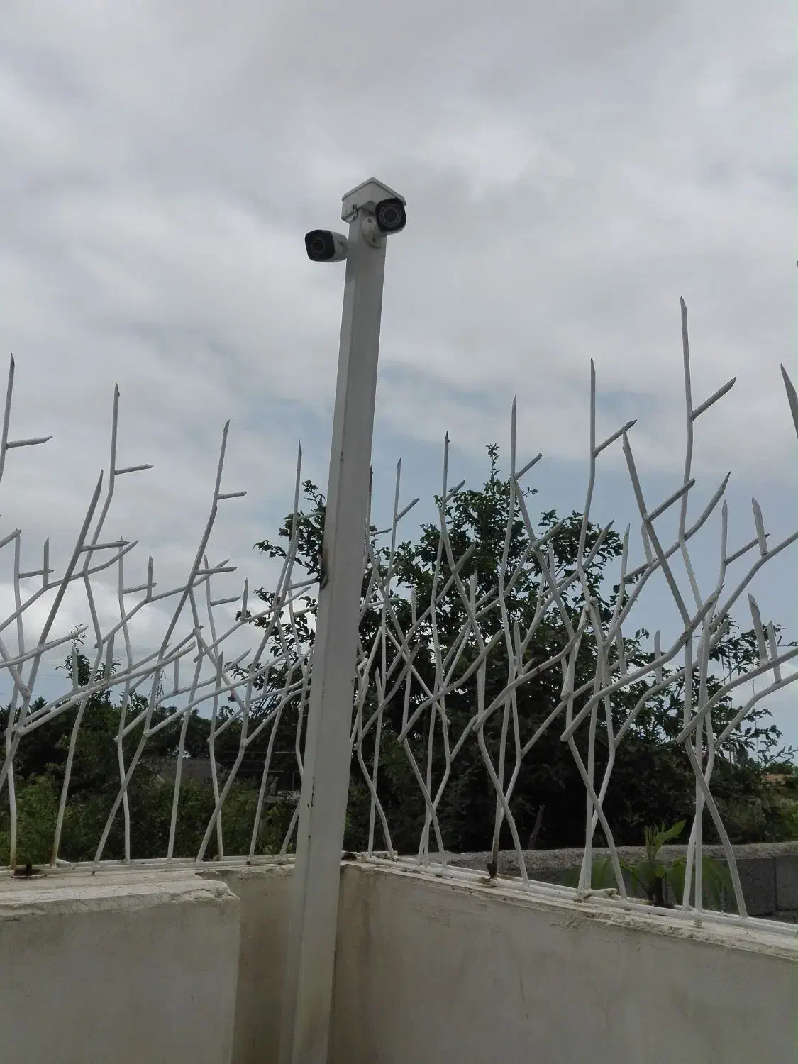 نصب دوربین مداربسته و دزدگیر|خدمات پیشه و مهارت|رامسر, |دیوار