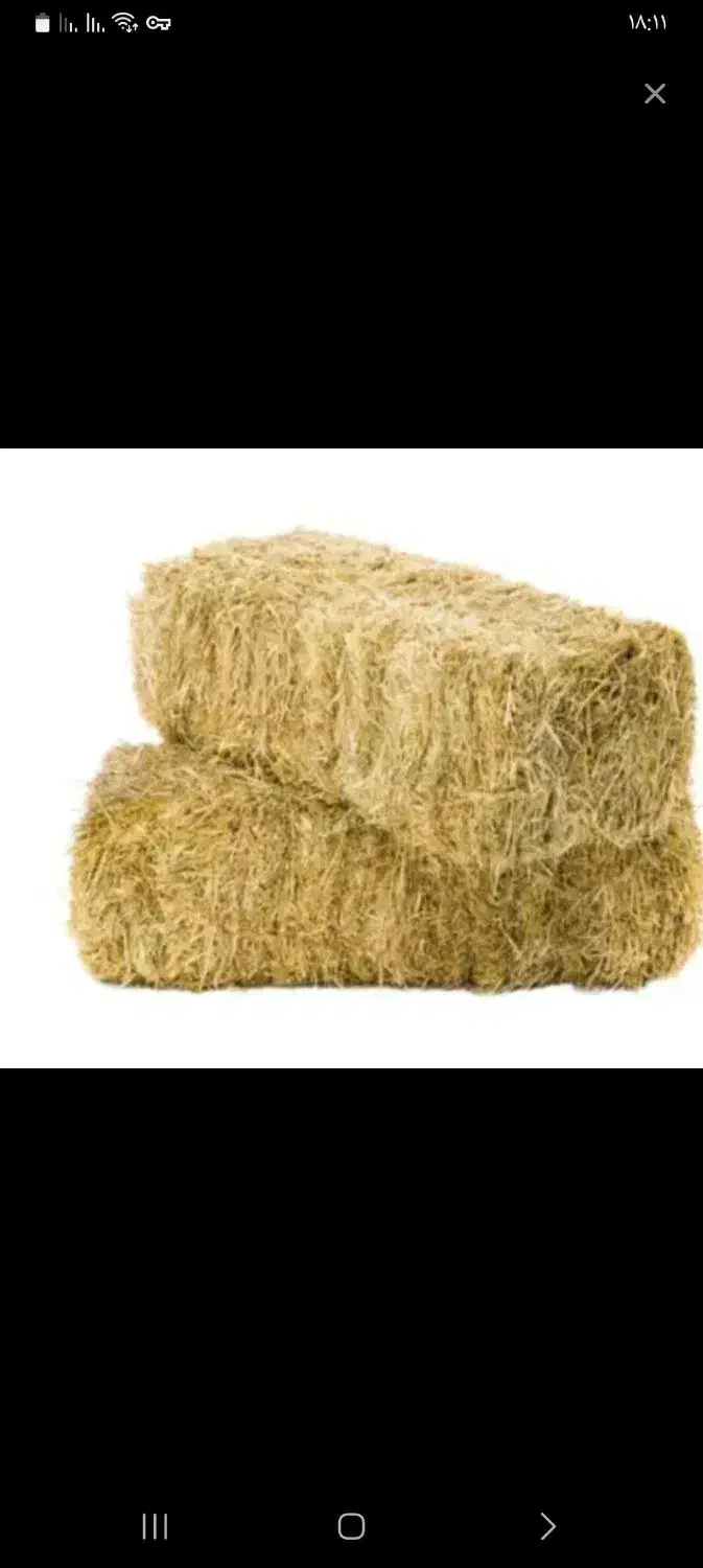 کاه و کلش خشک هاشمی|حیوانات مزرعه|اسالم, |دیوار