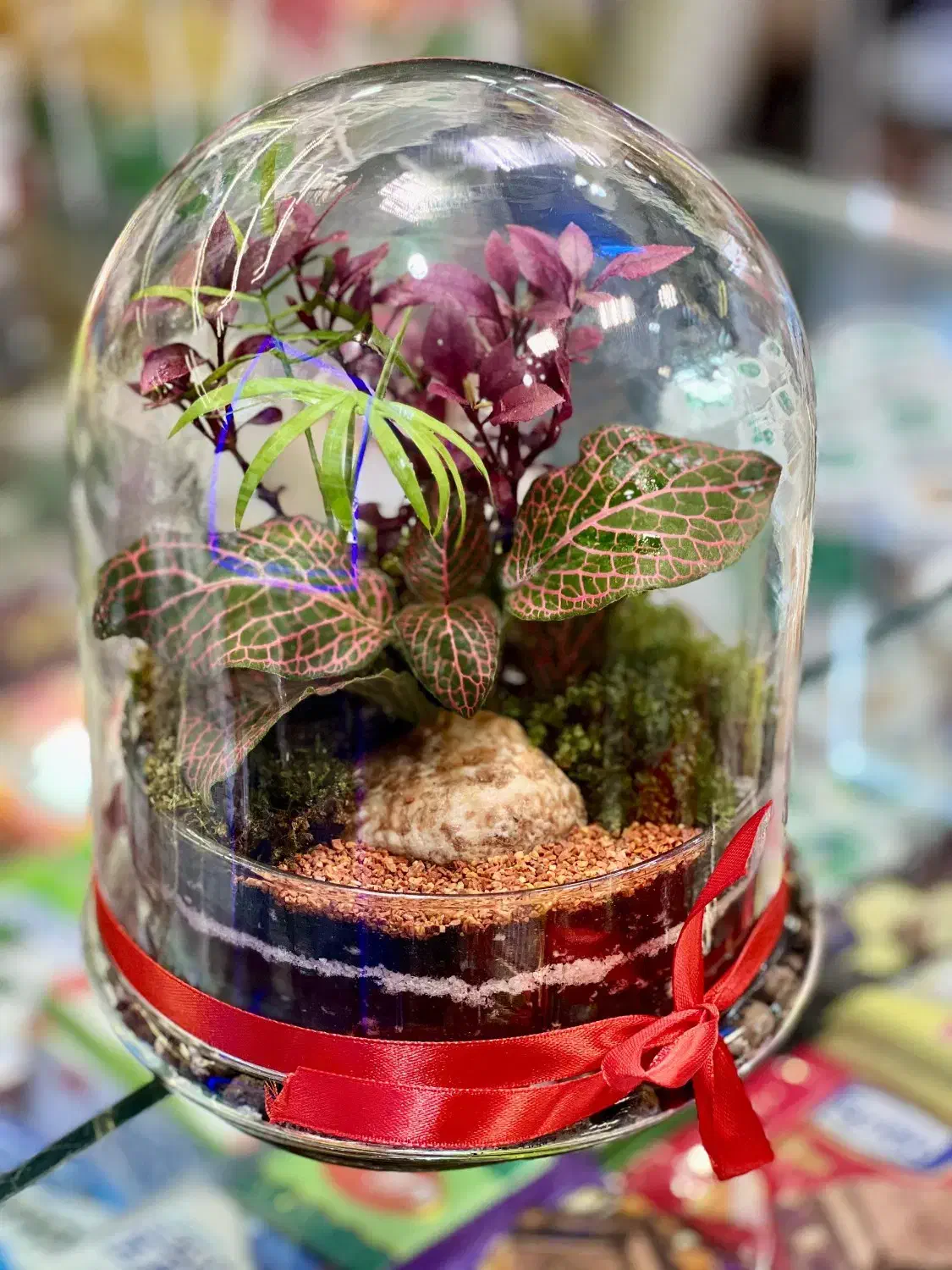 تراریومهای خاص|صنایع دستی و سایر لوازم تزئینی|مشهد, امیریه|دیوار