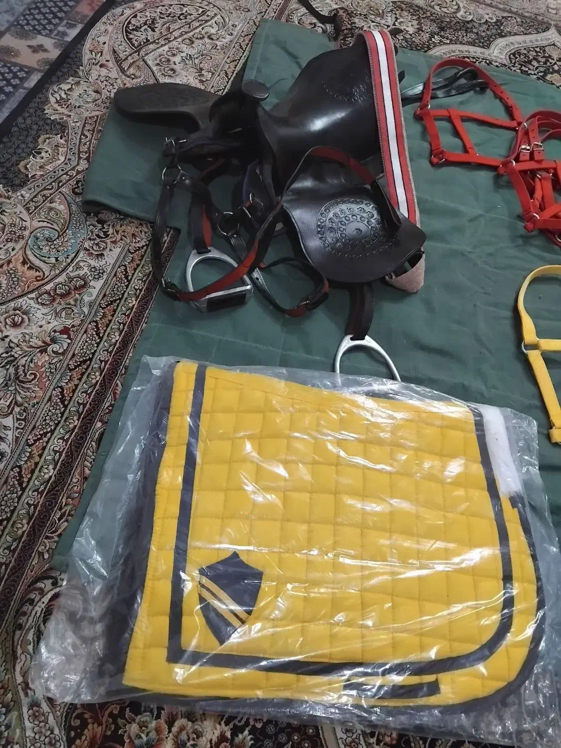 لوازم سوارکاری|اسب و تجهیزات اسب‌سواری|گرگان, |دیوار