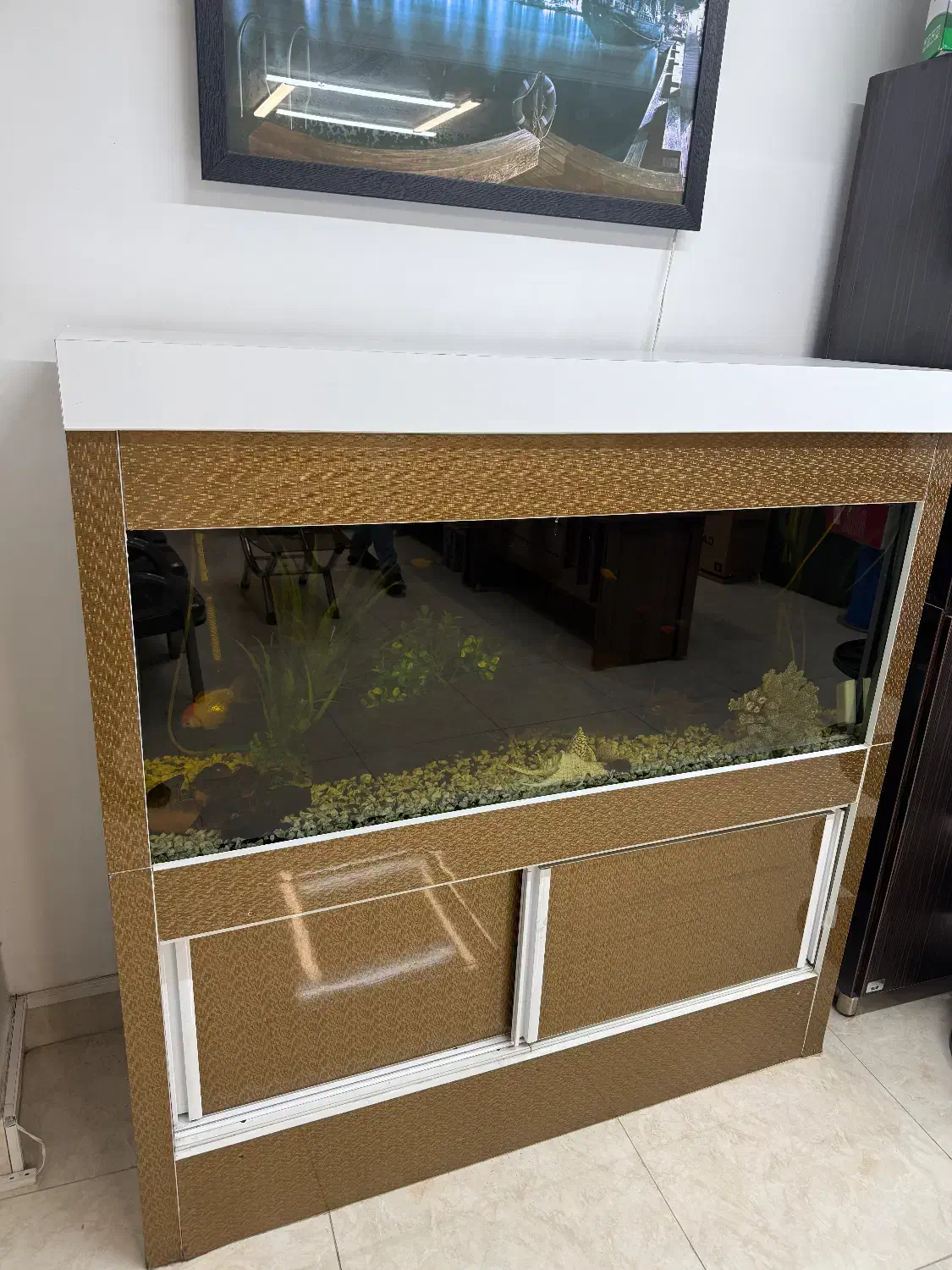 آکواریوم با شیشه ۱۰ میل|ماهی|ارومیه, |دیوار