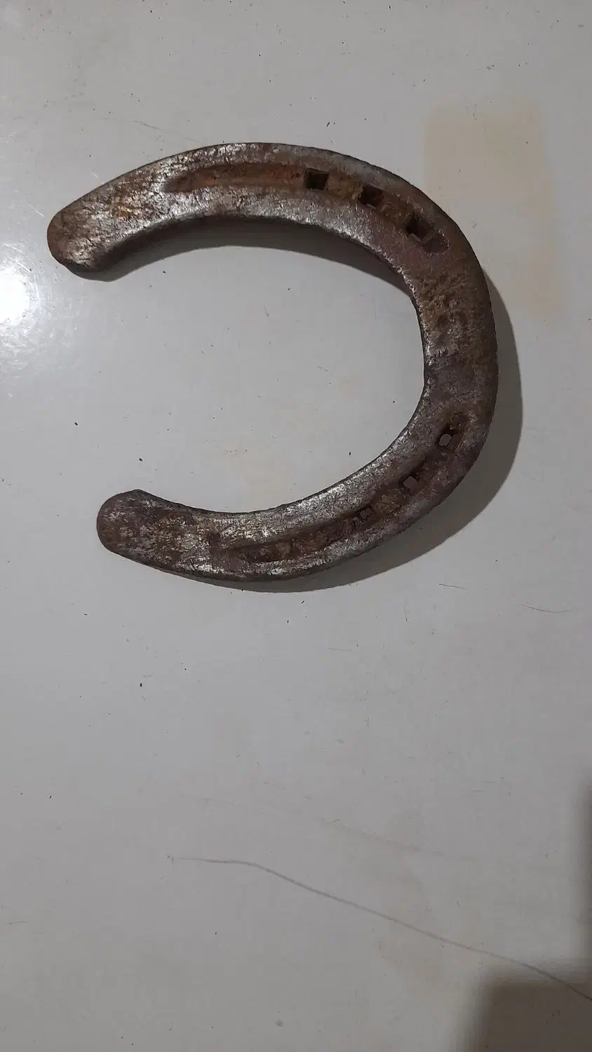 نعل اسب|اسب و تجهیزات اسب‌سواری|کرج, کارخانه قند|دیوار