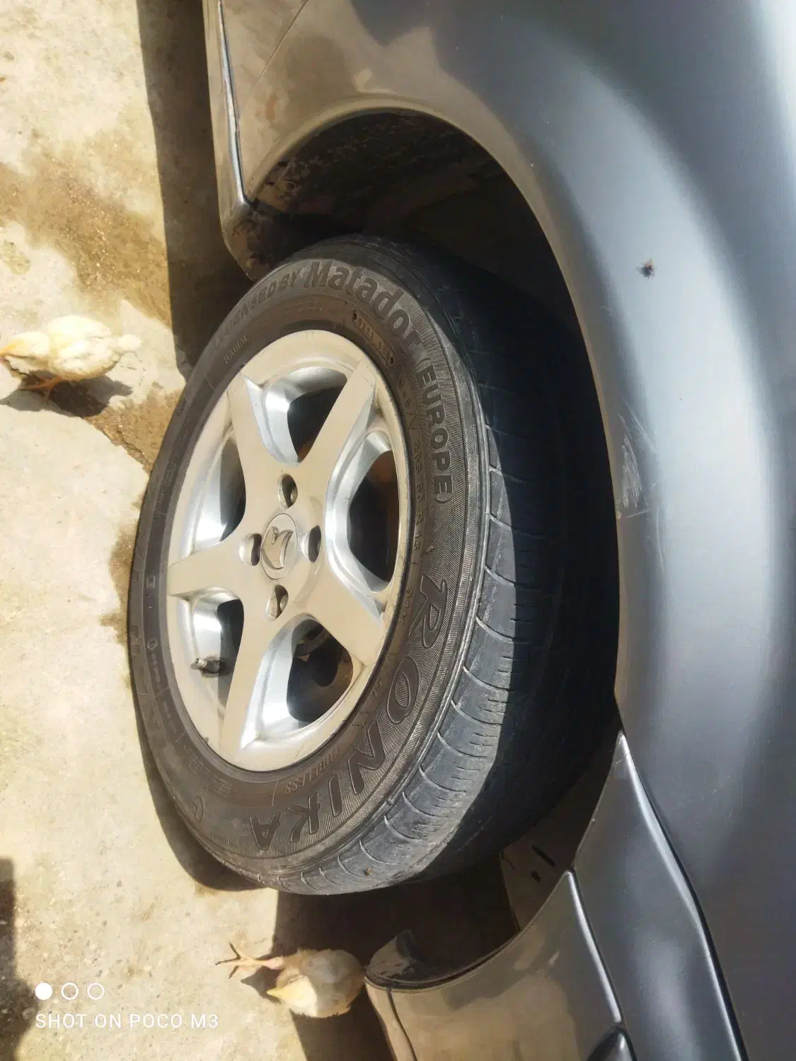 سمند مدل 90|خودرو سواری و وانت|دوزین, |دیوار