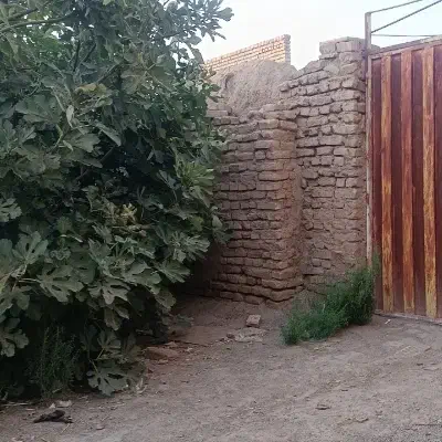 خانه کلنگی|فروش خانه و ویلا|نیشابور, دهنو|دیوار