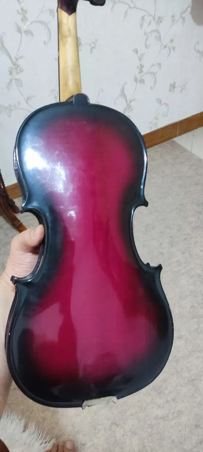 ویولون خوش صدا و زیبا|ویولن|سقز, |دیوار