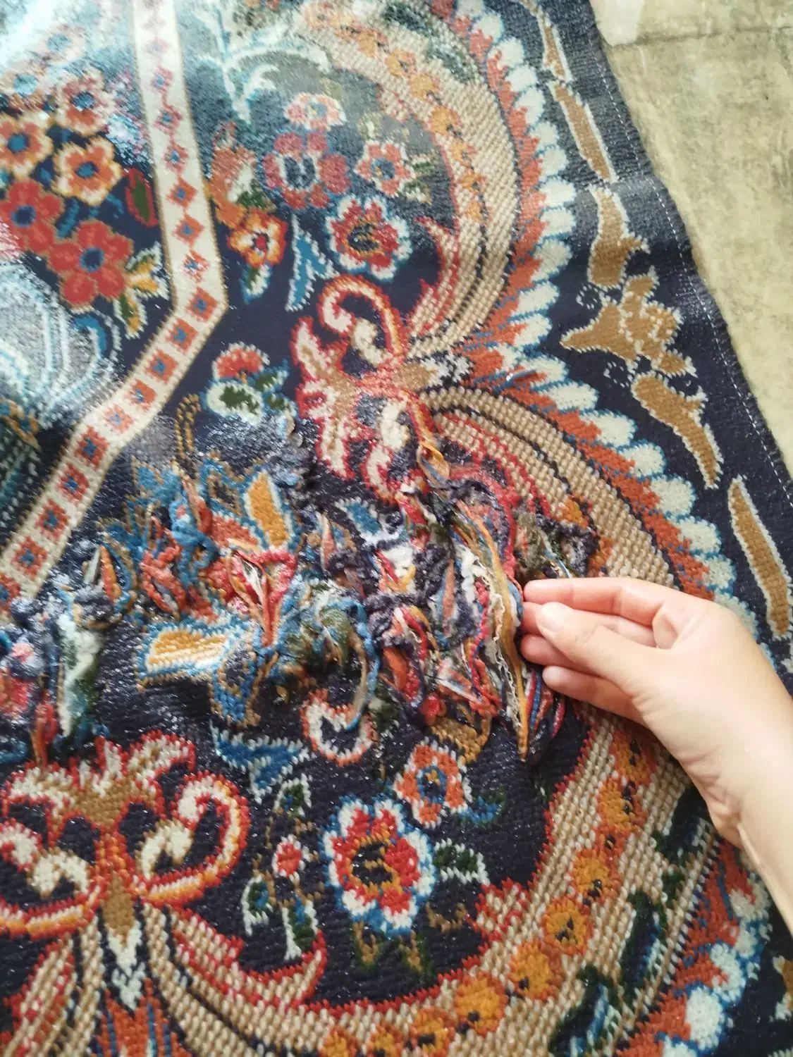 گلیم 9متری|گلیم، جاجیم، گبه|شیراز, کوشک میدان|دیوار