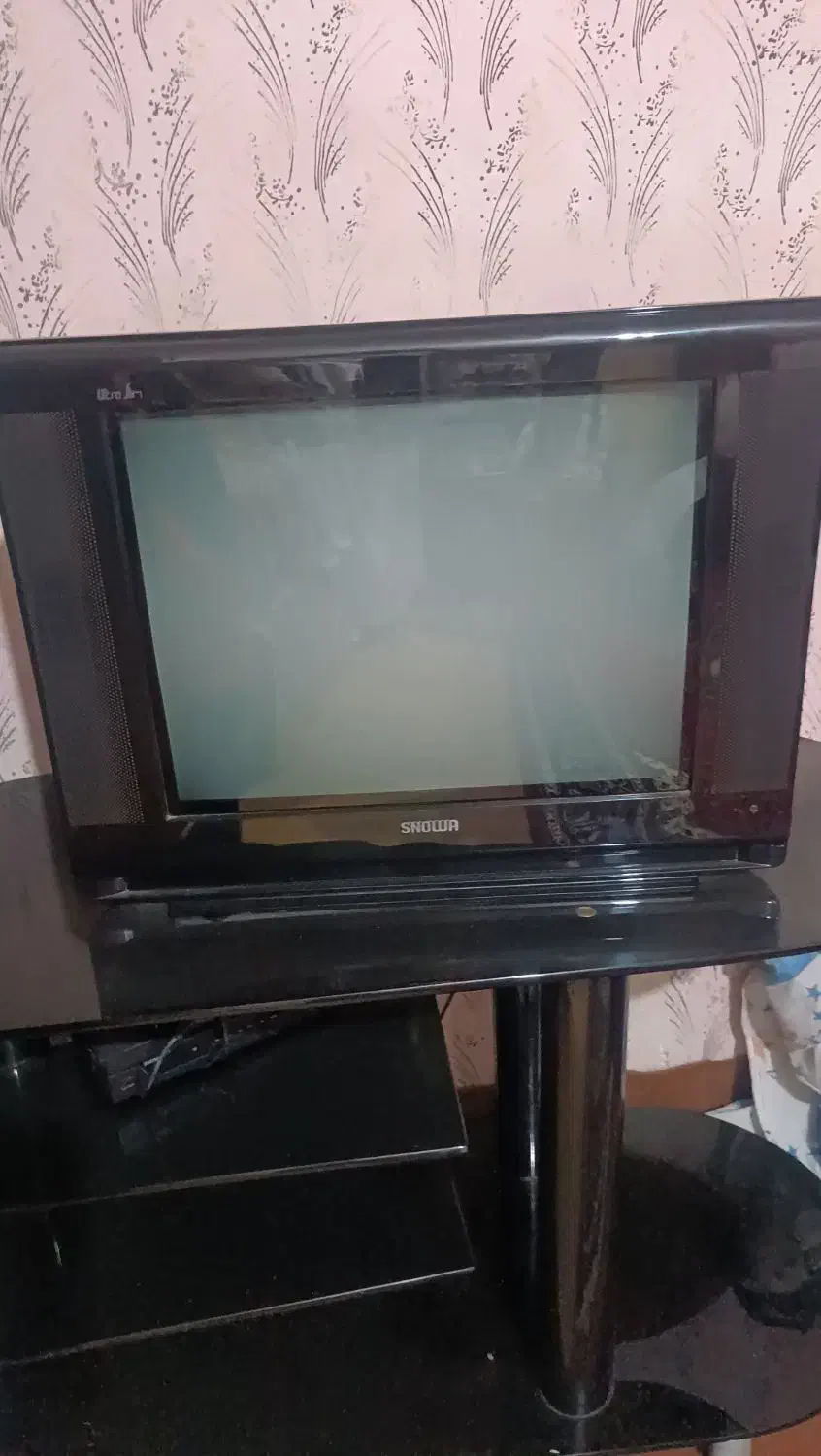 میز تلوزیون و تلوزیون اسنوا نو نو|تلویزیون و پروژکتور|مشهد, آپارتمان های مرتفع|دیوار