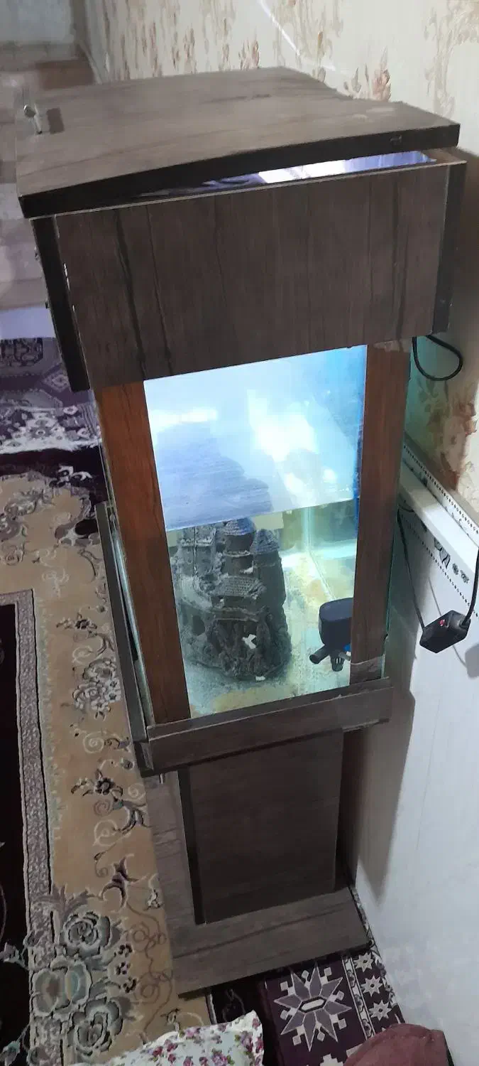 اکواریوم با لجن خوار طلایی و لوازم|ماهی|اسلامشهر, شهرک قائمیه|دیوار