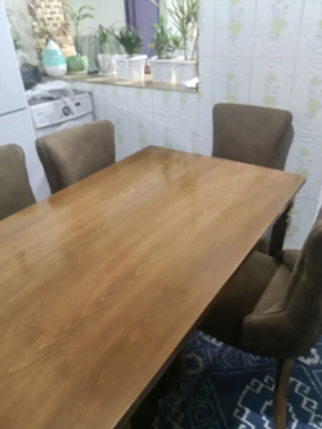 سرویس 6 نفره نهارخوری|میز و صندلی غذاخوری|زاهدان, |دیوار