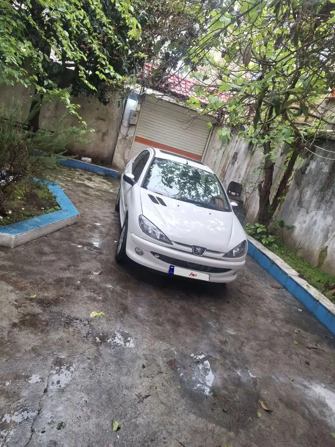 206sd tuf v8|خودرو سواری و وانت|بندر انزلی, ساحل قو|دیوار