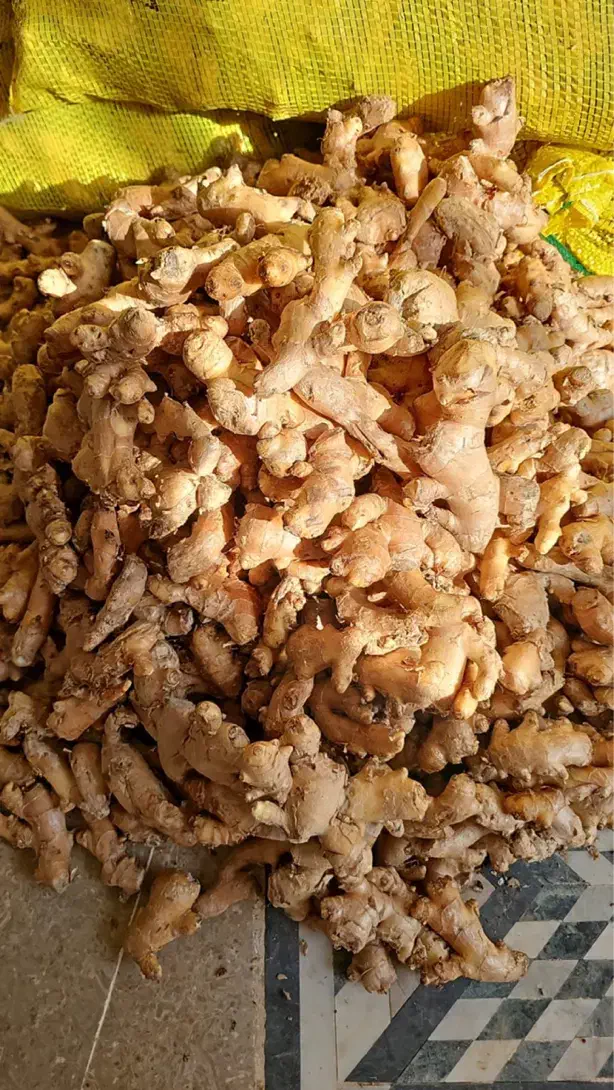 سرمایه|فعالیت داوطلبانه تحقیقاتی|قزوین, |دیوار