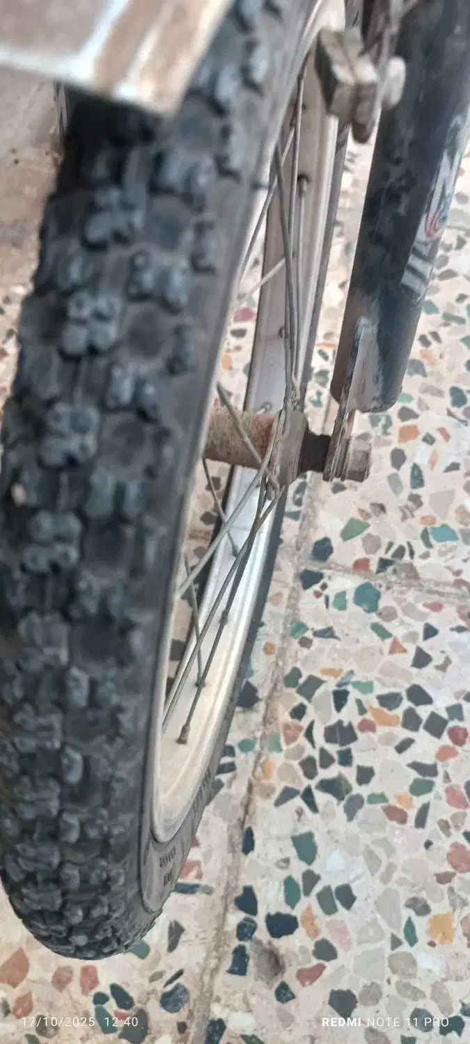 دو چرخه ۱۶|دوچرخه، اسکیت، اسکوتر|کارون, |دیوار