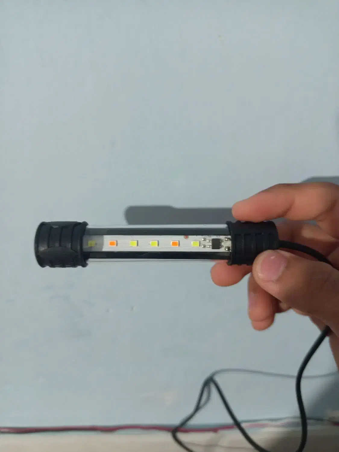 لوازم ماهی وآکواریوم|ماهی|تربتحیدریه, باغ ملی|دیوار