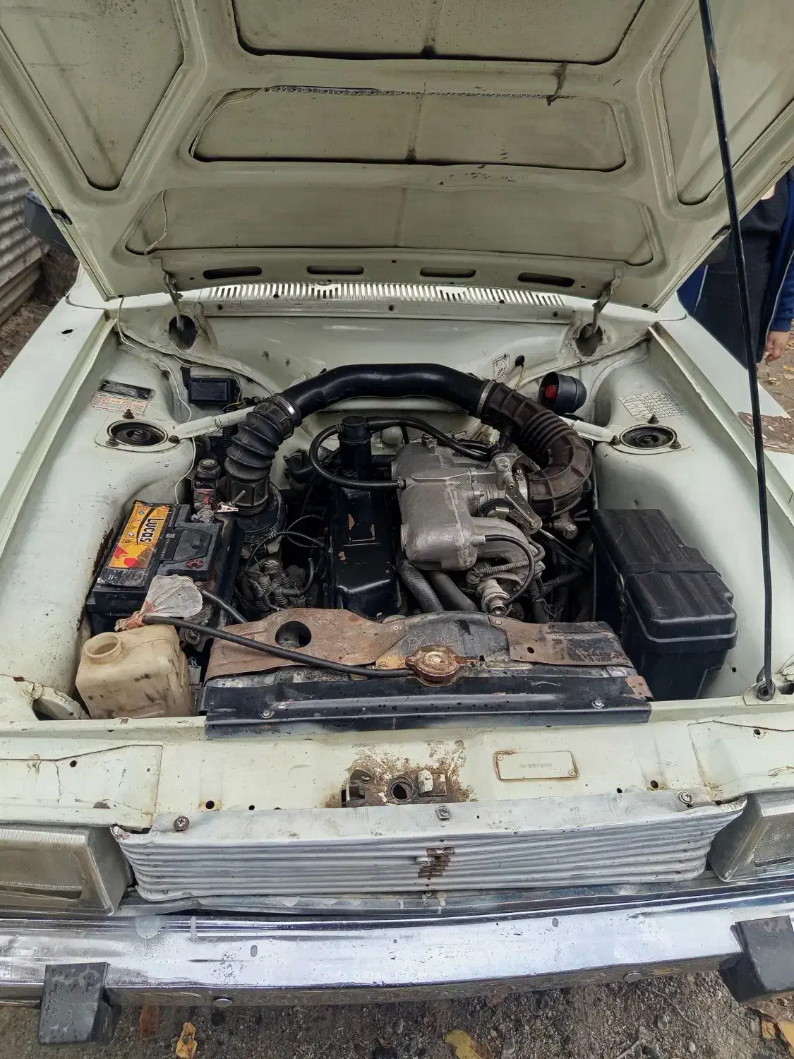 پیکان 83 شاسی پلمپ|خودرو سواری و وانت|ربط, |دیوار