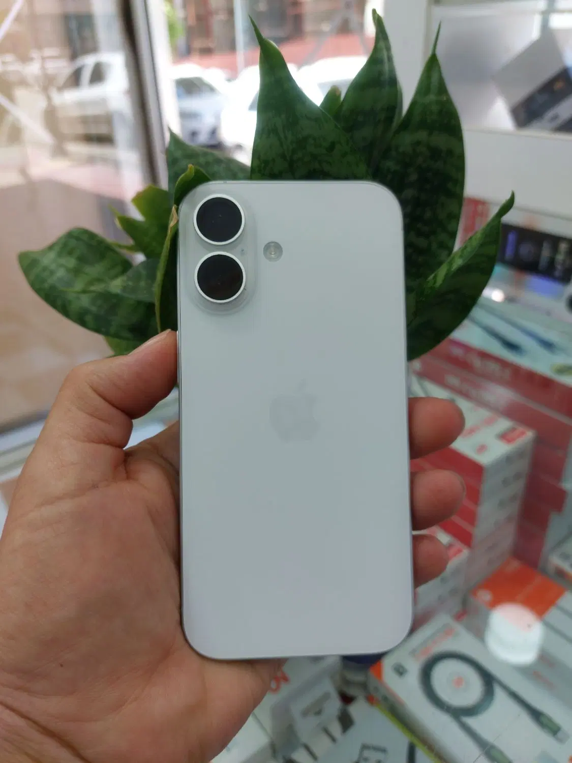 iPhone16|موبایل|یاسوج, |دیوار