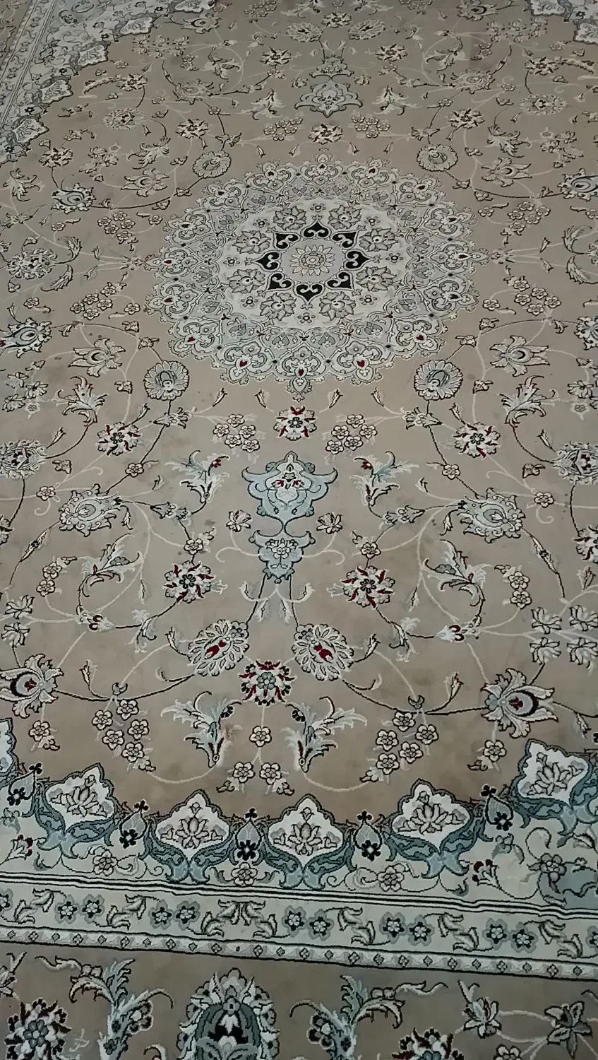 فرش رنگ موکا|فرش|گلبهار, شهر جدید گلبهار|دیوار