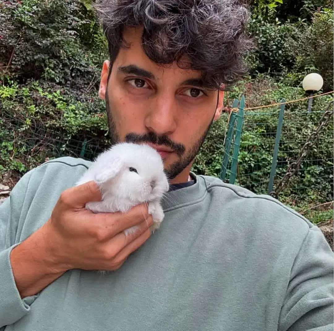 خرگوش لوپ اروپایی کیوت|موش و خرگوش|یزد, |دیوار