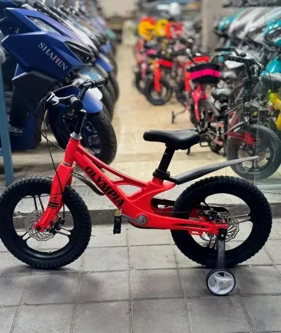 دوچرخه دخترانه سبد دار|دوچرخه، اسکیت، اسکوتر|رفسنجان, |دیوار