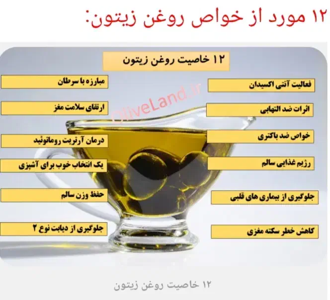 فروش روغن زیتون کاملا ارگانیک ودرجه ۱ و تضمینی|خوردنی و آشامیدنی|رشت, دخانیات|دیوار