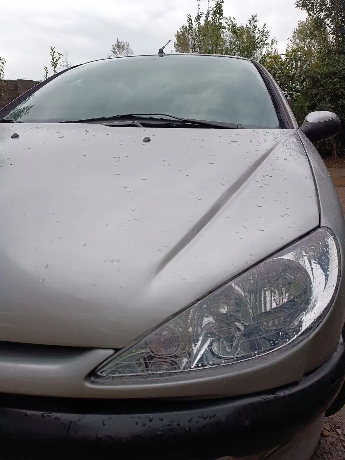 پژو 206 تیپ ۲، مدل ۱۳۸۳|خودرو سواری و وانت|کوچصفهان, |دیوار