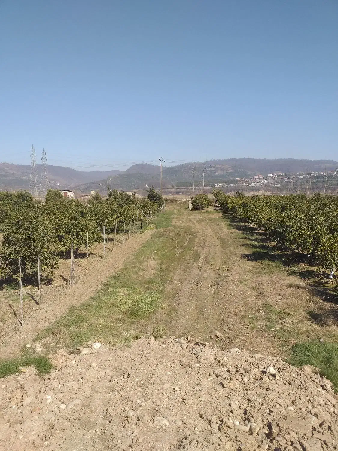 موقعیت خوب در شهر ساری (هولار)|فروش زمین و ملک کلنگی|پایین هولار, |دیوار