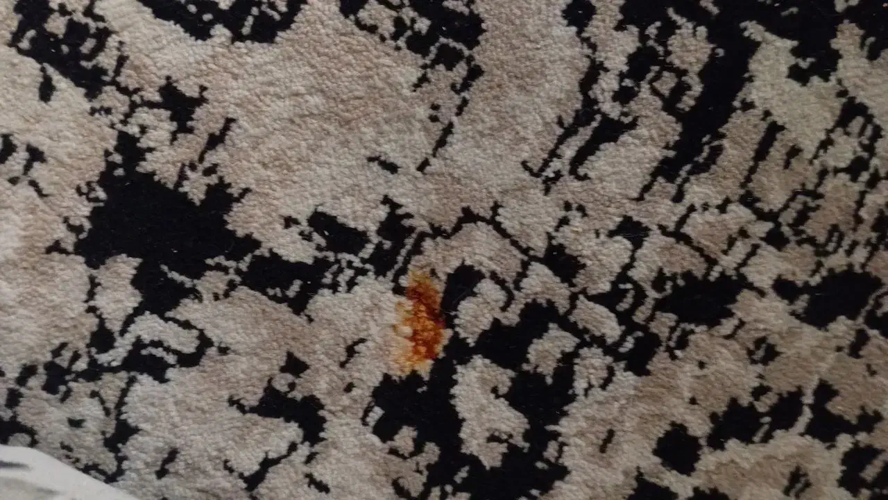 فرش ۹متری|فرش|تهران, آهنگران (سراسیاب دولاب)|دیوار