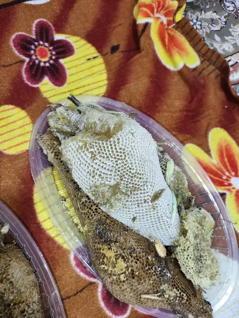 عسل کنار درجه یک|خوردنی و آشامیدنی|برازجان, |دیوار