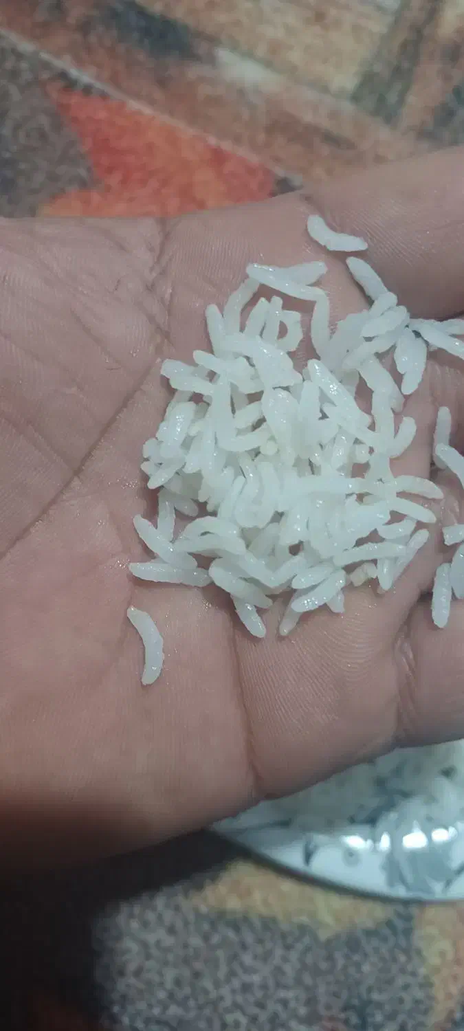 برنج کامفیروزی|خوردنی و آشامیدنی|بانش, |دیوار